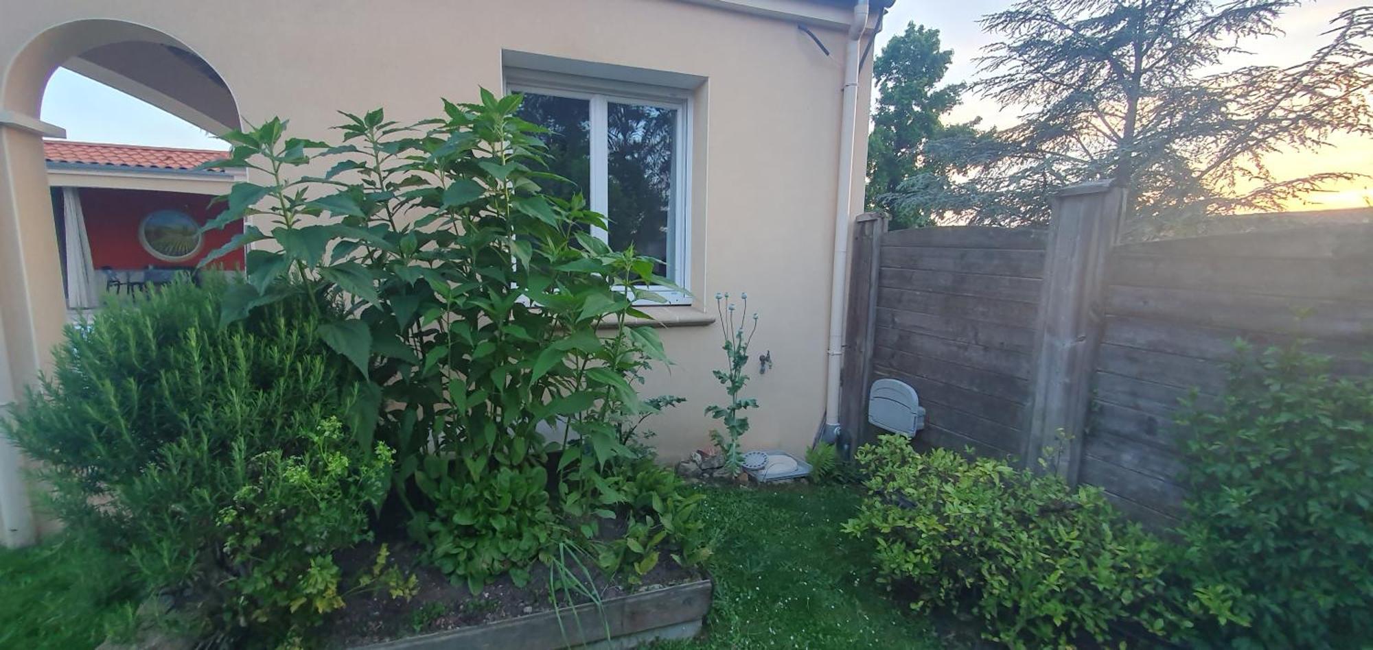 Gite Calme #2 Ou 3 Pers #Piscine #Cholet #Wifi Haut Debit #Travailleurs Thales Lacroix Et Autres Entreprises #Petits Dejeuners Et Repas Possibles Sur Demande Le May-sur-Evre Exterior foto